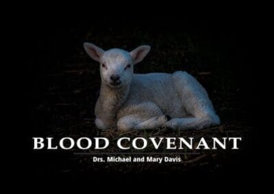 Blood Covenant Memory Tip