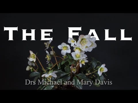 The Fall Part 2