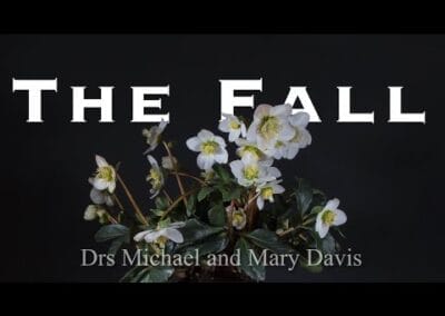 The Fall Part 1