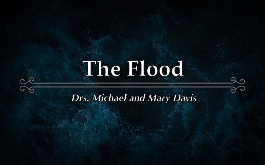 The Flood Part 1