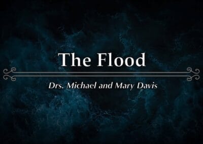The Flood Part 1